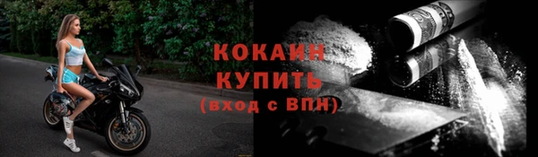 гидропоника Дмитриев