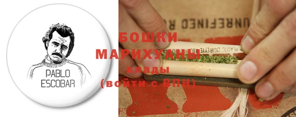 гидропоника Дмитриев
