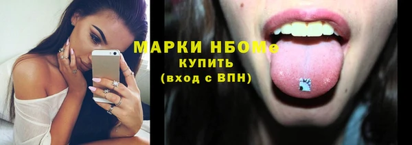 гидропоника Дмитриев