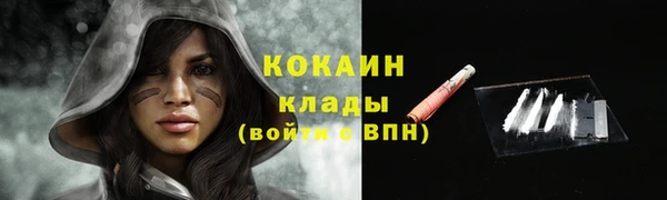 гидропоника Дмитриев