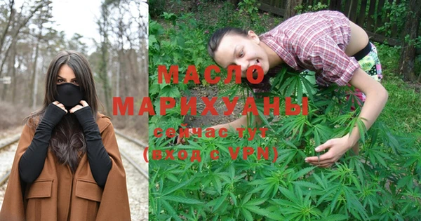 гидропоника Дмитриев